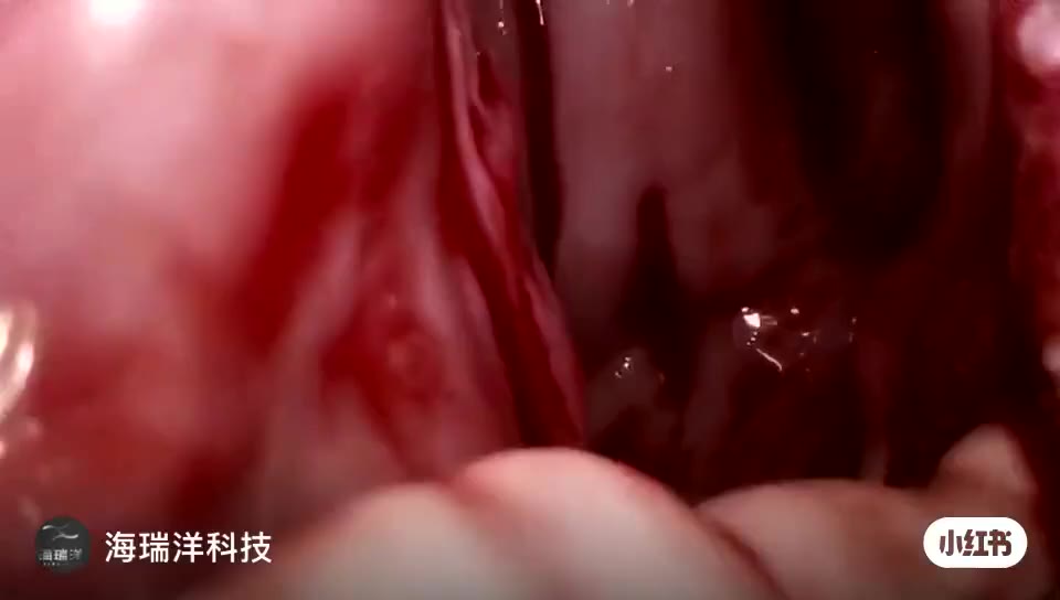 产品介绍